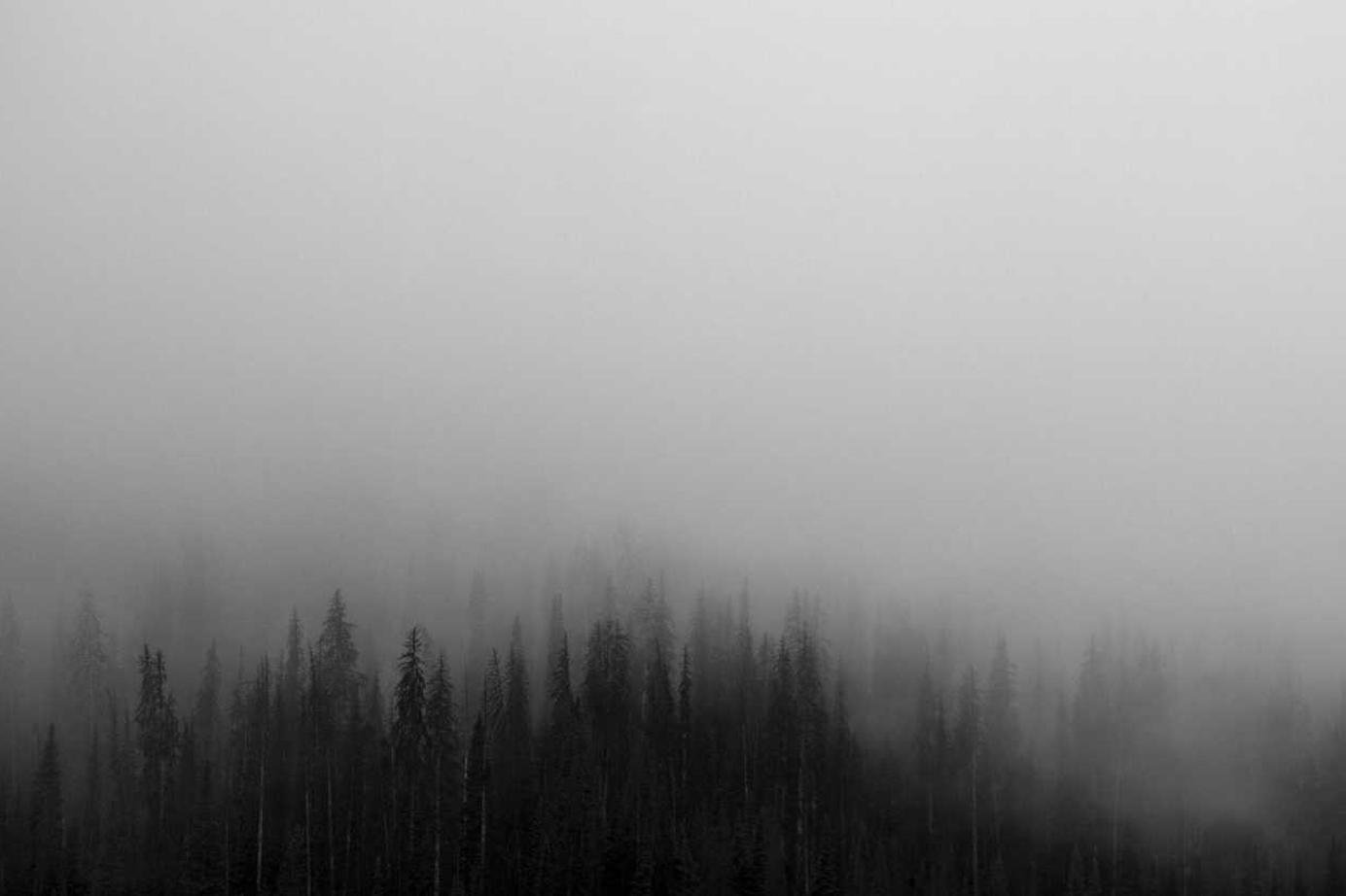 Nihil ut odio enim officiis est